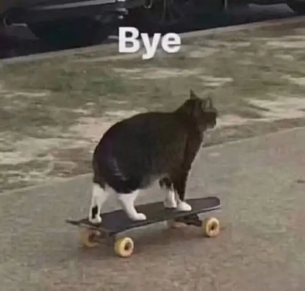 Ảnh meme 