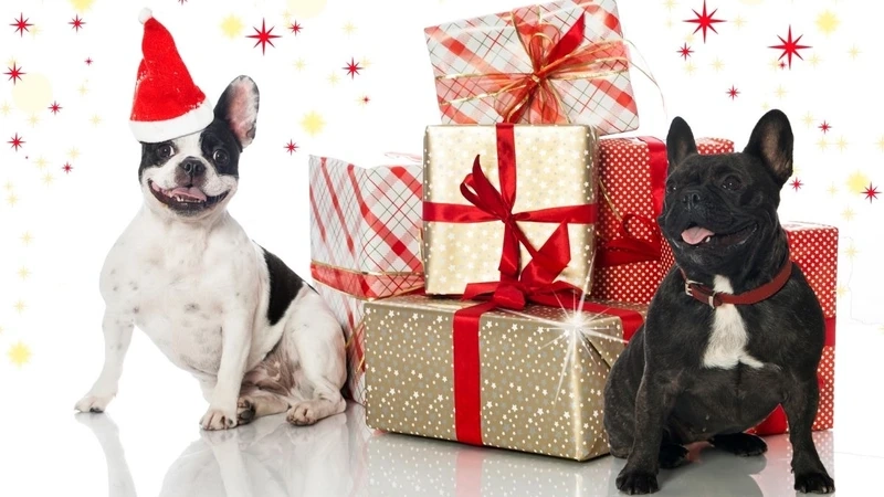 Hình noel meme là điểm nhấn không thể thiếu trong mùa Giáng sinh này.