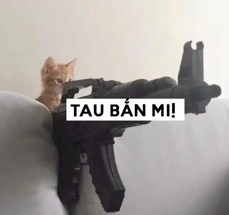 Ảnh meme thả tim hài hước, gửi ngay cho bạn bè của bạn!