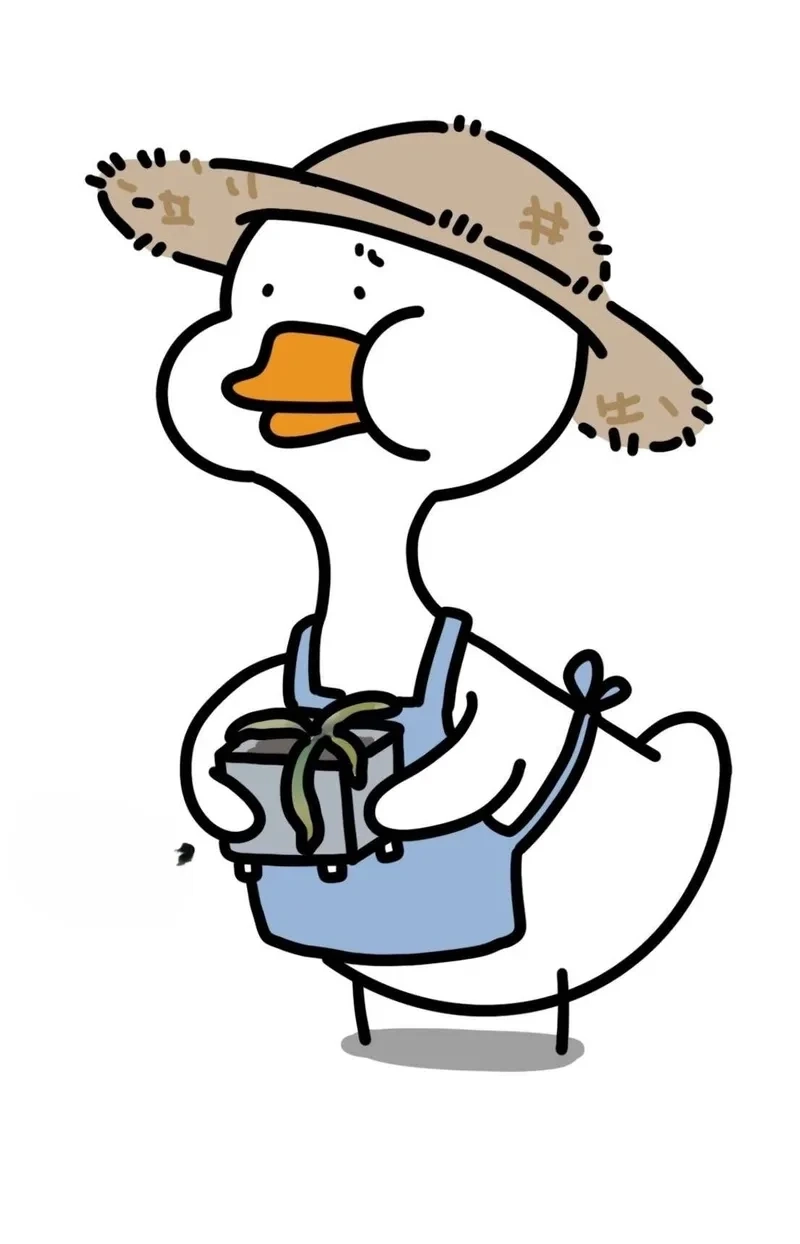 Ảnh meme vịt cực kỳ dễ thương, phù hợp với mọi dịp.