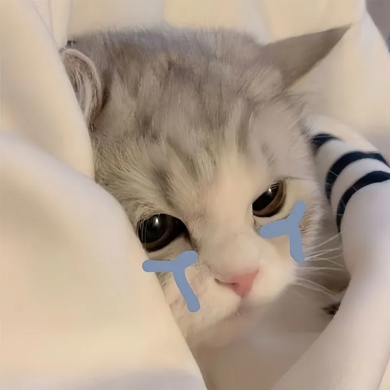 Ảnh meme vô tri cute khiến bạn không thể ngừng mỉm cười mỗi khi nhìn thấy