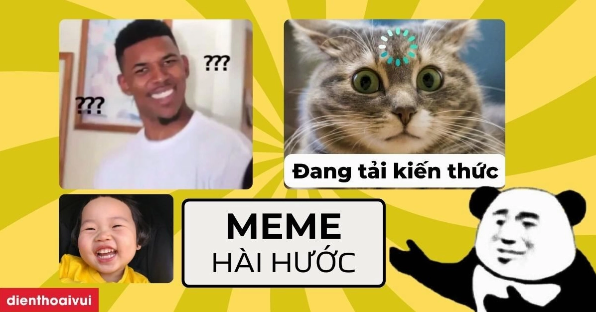 BST 750+ Avatar Meme Mèo Bựa Hài Hước Cho Mạng Xã Hội 2026