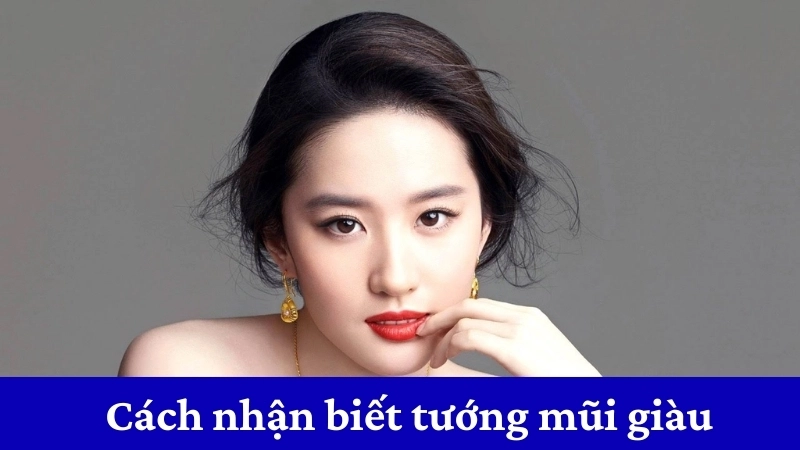 Cách nhận biết tướng mũi giàu giúp dự đoán tài vận chuẩn xác