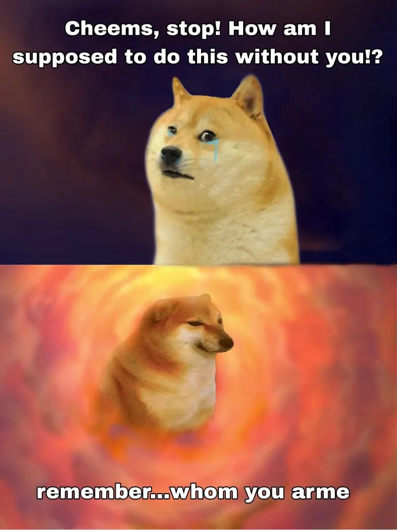 Cảnh sát chính tả meme cheems vui nhộn và đầy thú vị