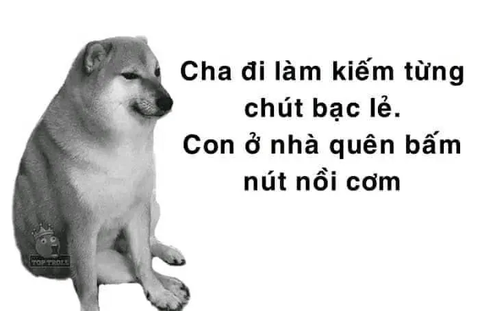 Cheems meme VN phong cách Việt Nam cực kỳ thú vị