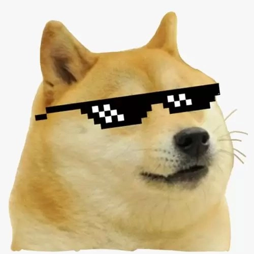 Meme cơm chó mang lại niềm vui bất tận cho bạn bè.