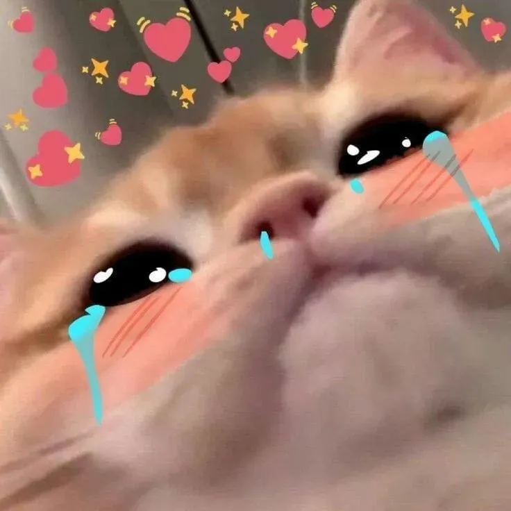 Crying banana cat meme siêu hot, đáng yêu và hài hước!