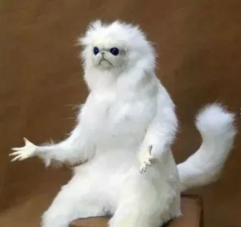 Cute meme hài mang đến những khoảnh khắc ngọt ngào và vui nhộn trong cuộc sống.