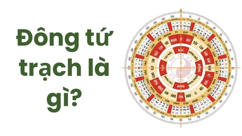 Đông tứ trạch là gì? Hướng dẫn chọn nhà hợp tuổi chính xác