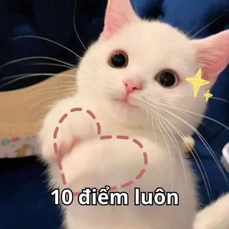 Đừng bỏ lỡ các meme khen ngợi khiến bạn thêm tự tin