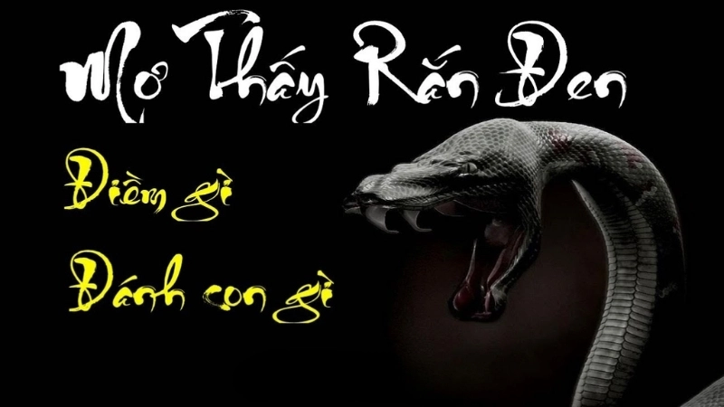 Giải thích nằm mơ thấy rắn đen theo quan niệm tâm linh