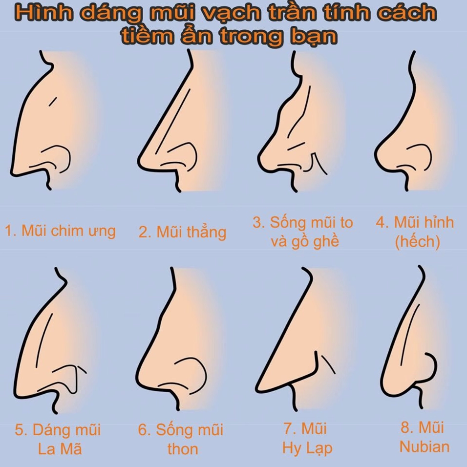 Khám phá các dáng mũi trong nhân tướng học và ý nghĩa phong thủy