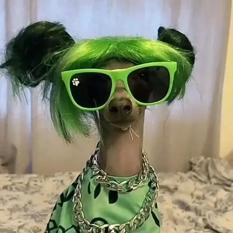 Khám Phá Thế Giới Avatar Meme Độc Đáo và Hài Hước Nhất 2026