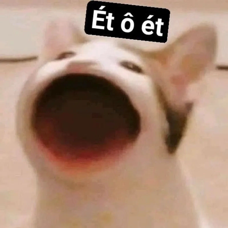 Khi drama đập thẳng mặt kiểu meme ét o ét (SOS)