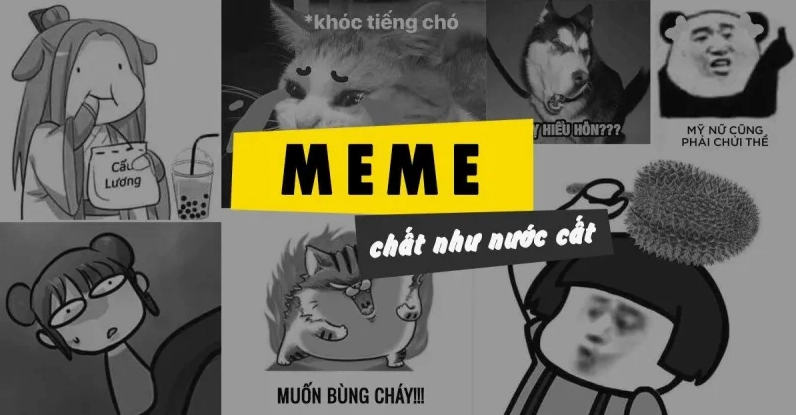 Kho ảnh meme vui vẻ hài hước nhất 2026: Cười thả ga không ngừng nghỉ