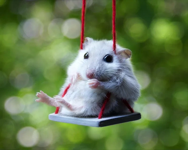 Meme ảnh chuột hamster bựa cực kỳ hài hước, gây cười ngay từ cái nhìn đầu tiên.
