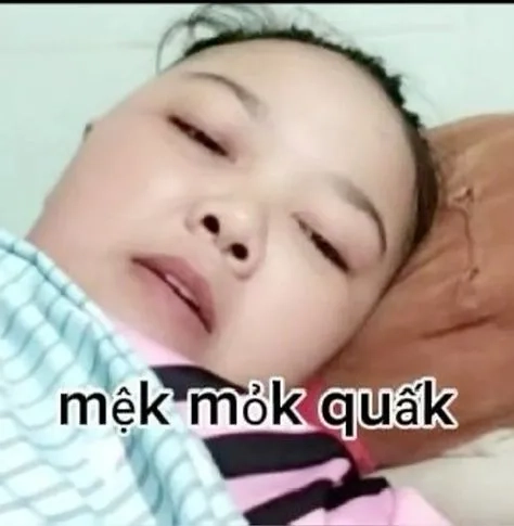 Meme avatar hài hước là cách tuyệt vời để thể hiện tính cách vui nhộn của bạn.