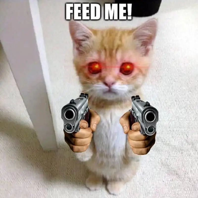 Meme bắn cực bựa nhưng vẫn cực kỳ thú vị, chắc chắn bạn sẽ thích.
