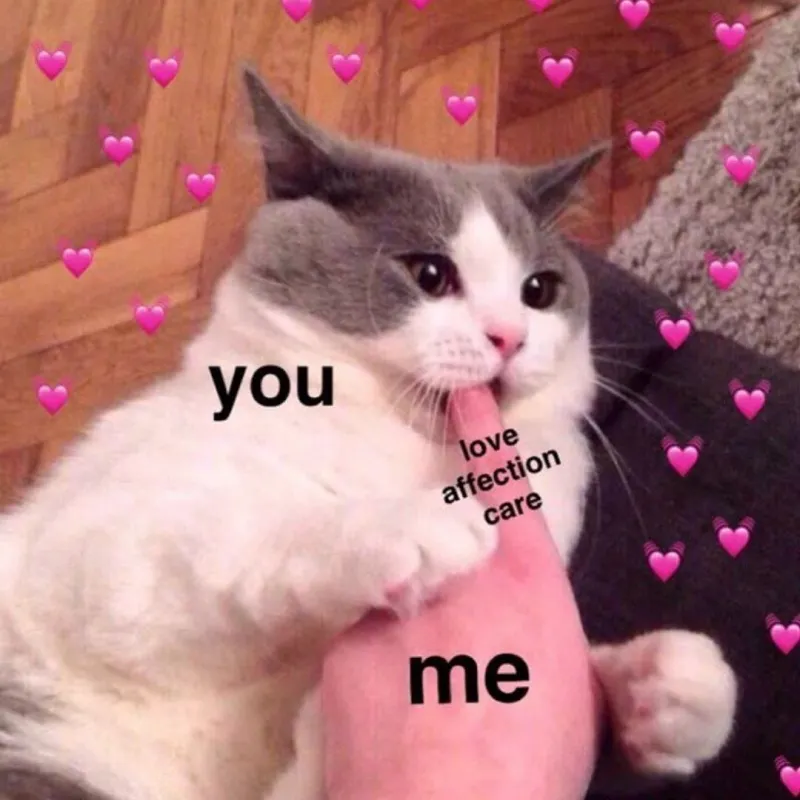 Meme chào hài hước tạo dấu ấn vui nhộn trên mạng xã hội 1