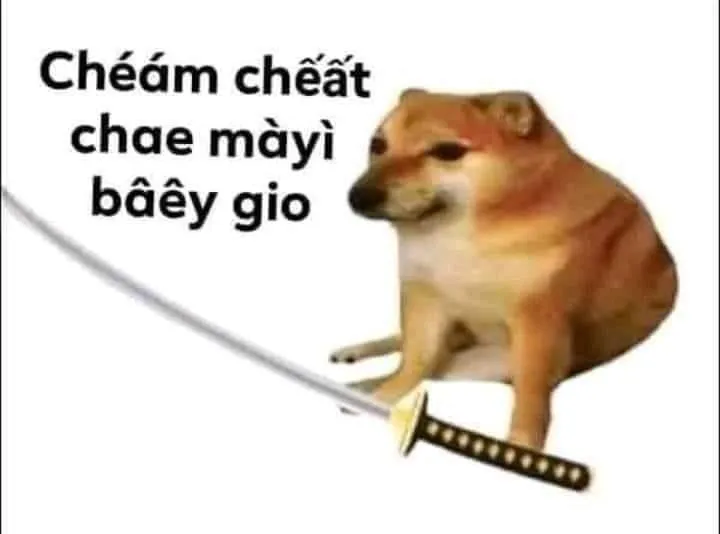 Cheems meme chó biểu cảm dễ thương và cực kỳ đáng yêu