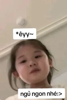 Meme chuột hamster hài với những biểu cảm siêu dễ thương khiến bạn phải bật cười.