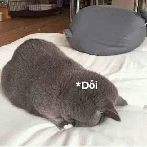 Crying banana cat meme mang đến sự hài hước độc đáo.