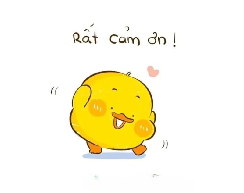 Meme thank you for your opinion ngộ nghĩnh, gây ấn tượng mạnh. 