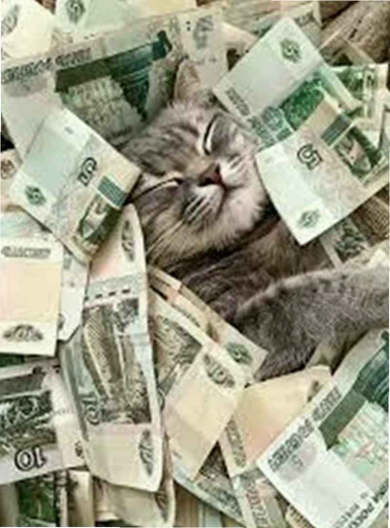 Meme xin tiền với lời lẽ