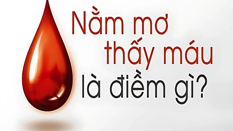 Mơ thấy máu là điềm tốt hay xấu? Giải mã giấc mơ thấy máu