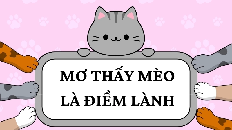 Mơ thấy mèo là điềm lành