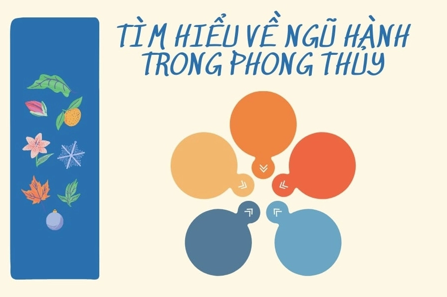 Phong Thủy Ngũ Hành: Hiểu Rõ Vận Mệnh và Ứng Dụng Thực Tế
