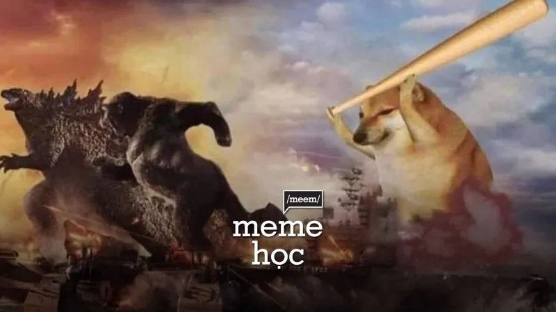 Shiba cheems meme Vietnam đáng yêu và siêu dễ thương