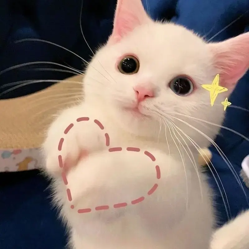 Tăng mood mỗi ngày với những meme tích cực đầy ý nghĩa