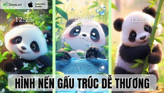 Tổng hợp ảnh nền avatar gấu cute độc đáo cho năm 2026
