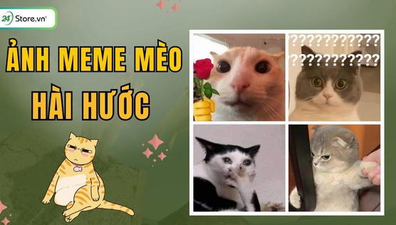 Tổng hợp Meme Ngạc Nhiên: Biểu Cảm Hài Hước Bất Tận 2026