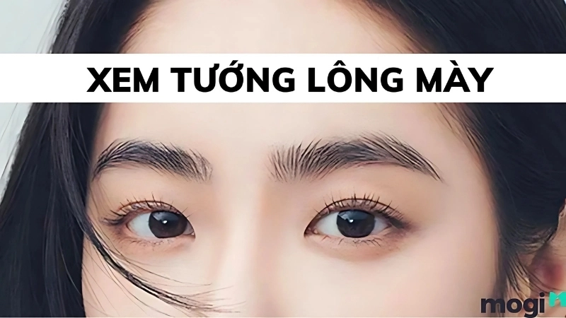 Tướng lông mày tốt giúp cải thiện sự nghiệp và tài lộc