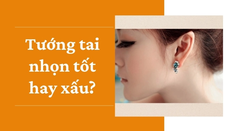 Tướng tai nhọn tốt hay xấu? Khám phá vận mệnh qua dáng tai