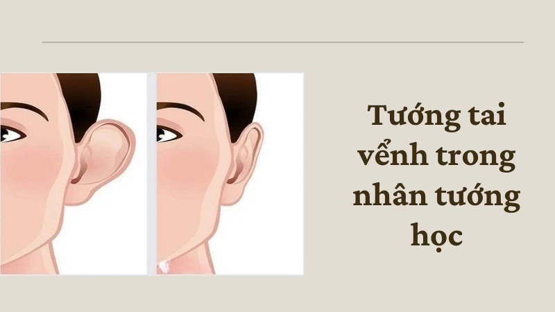 Tướng tai vểnh trong nhân tướng học có phải dấu hiệu phúc lộc