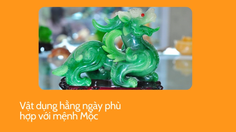 Vật phẩm hợp mệnh Mộc nên dùng hằng ngày