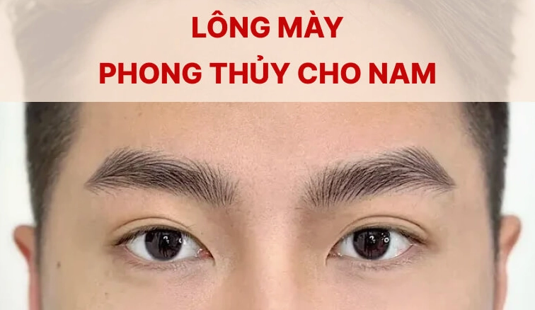 Xem Tướng Chân Mày: Giải Mã Vận Mệnh, Sự Nghiệp Nam Nữ