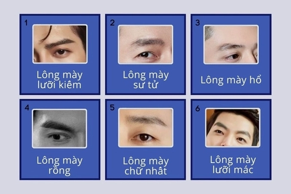 Xem tướng lông mày đàn ông: Khám phá 7 dáng mày quyền lực, tài lộc