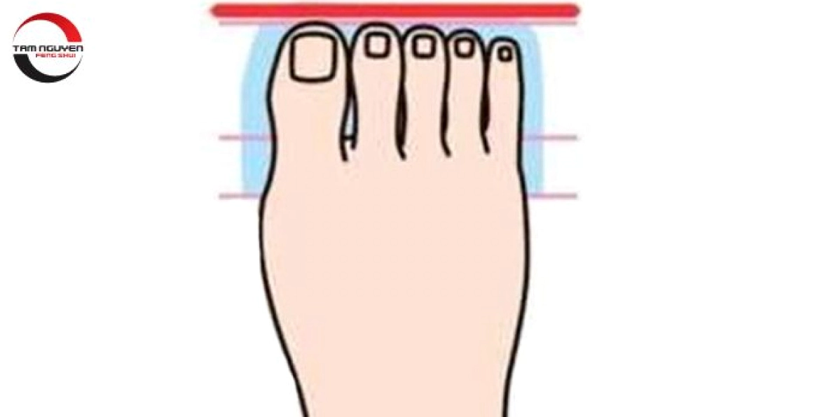 Xem Tướng Ngón Chân: Hé Lộ Vận Mệnh Giàu Sang Hay Khó Khăn